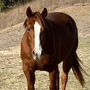 Meet your Posher, Jodi